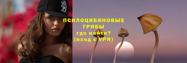 молекула духа Бугульма